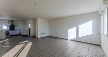 53324d3b