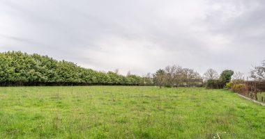 d47ba731