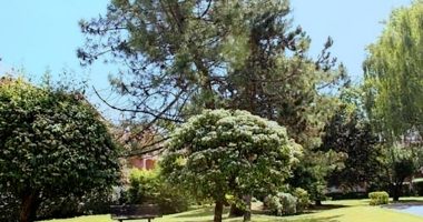 e046677e