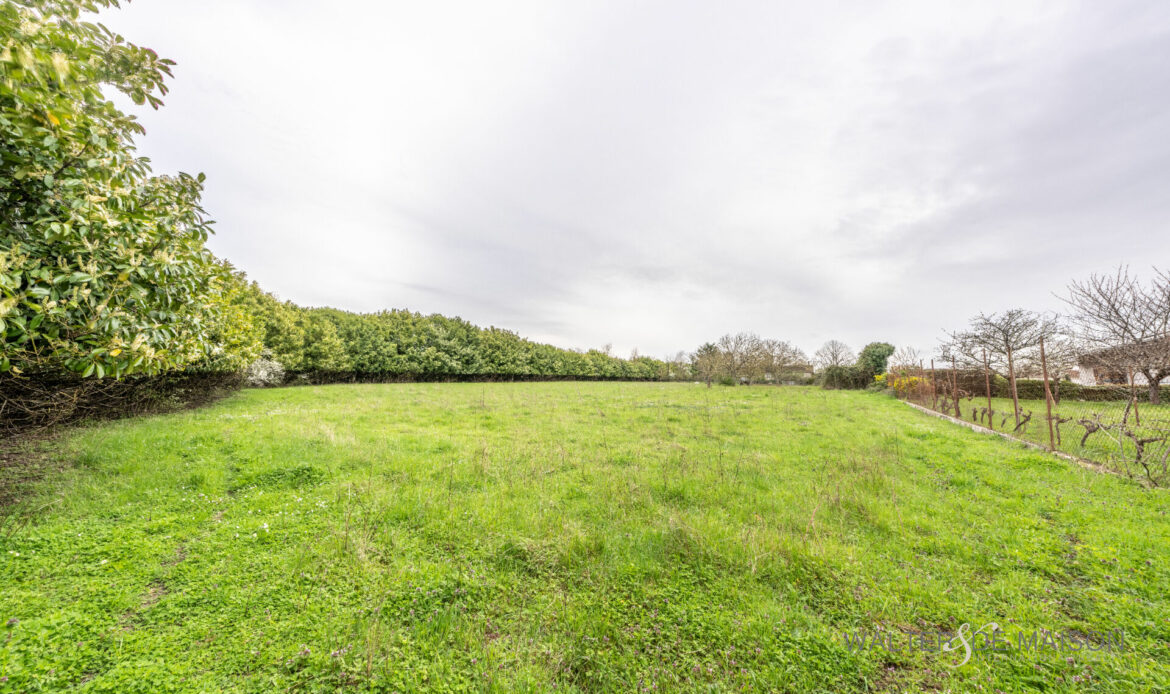 694cb207
